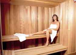 Anaheim Ramada Plaza Hotel Sauna